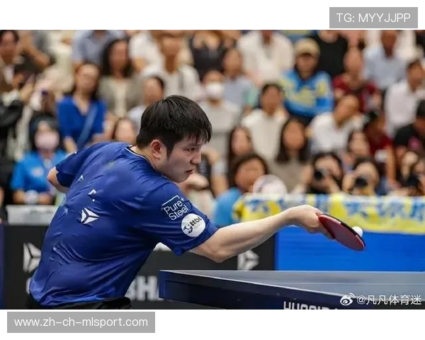 樊振东迎强敌考验，德甲大战卡尔松今晚上演，樊振东迎强敌考验,德甲大战卡尔松今晚上演了吗